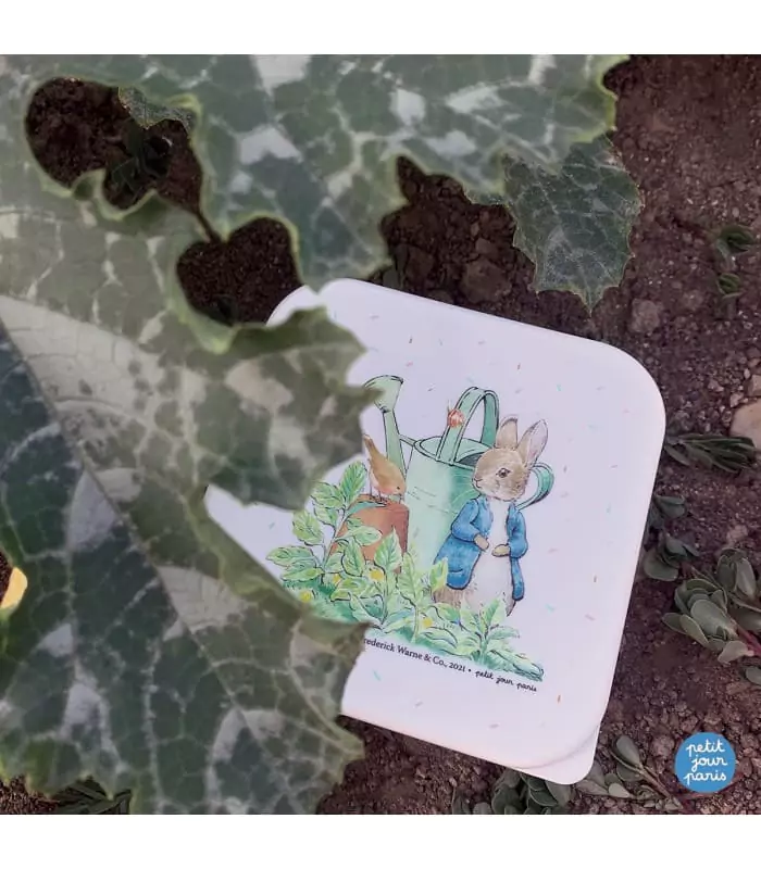 Παιδικό Σετ Δοχείων Φαγητού Peter Rabbit Petit Jour